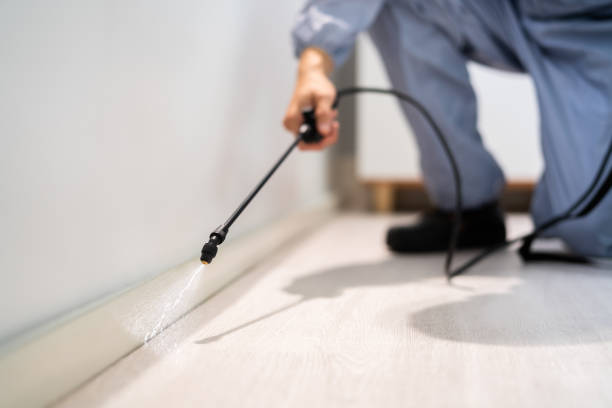 Licensed Mosquito Control service in Marquette Heights, IL - Show Me Pest Control