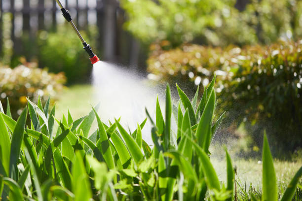 24/7 Emergency Mosquito Control experts in Marquette Heights, IL