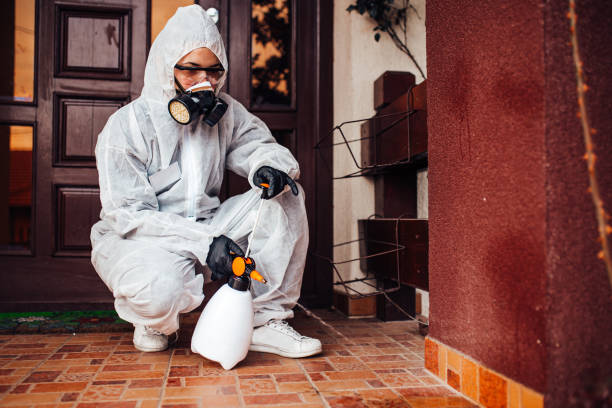 Reliable Mosquito Control contractor in Marquette Heights, IL by Show Me Pest Control
