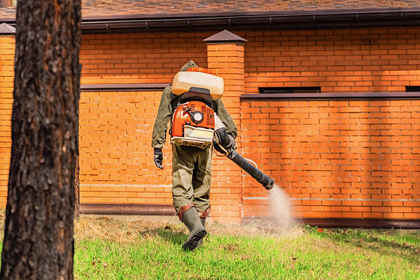 Top rated local Mosquito Control specialists in Marquette Heights, IL
